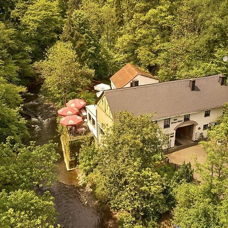 Ferienwohnung "Alte Pleiner Muehle" エクステリア 写真